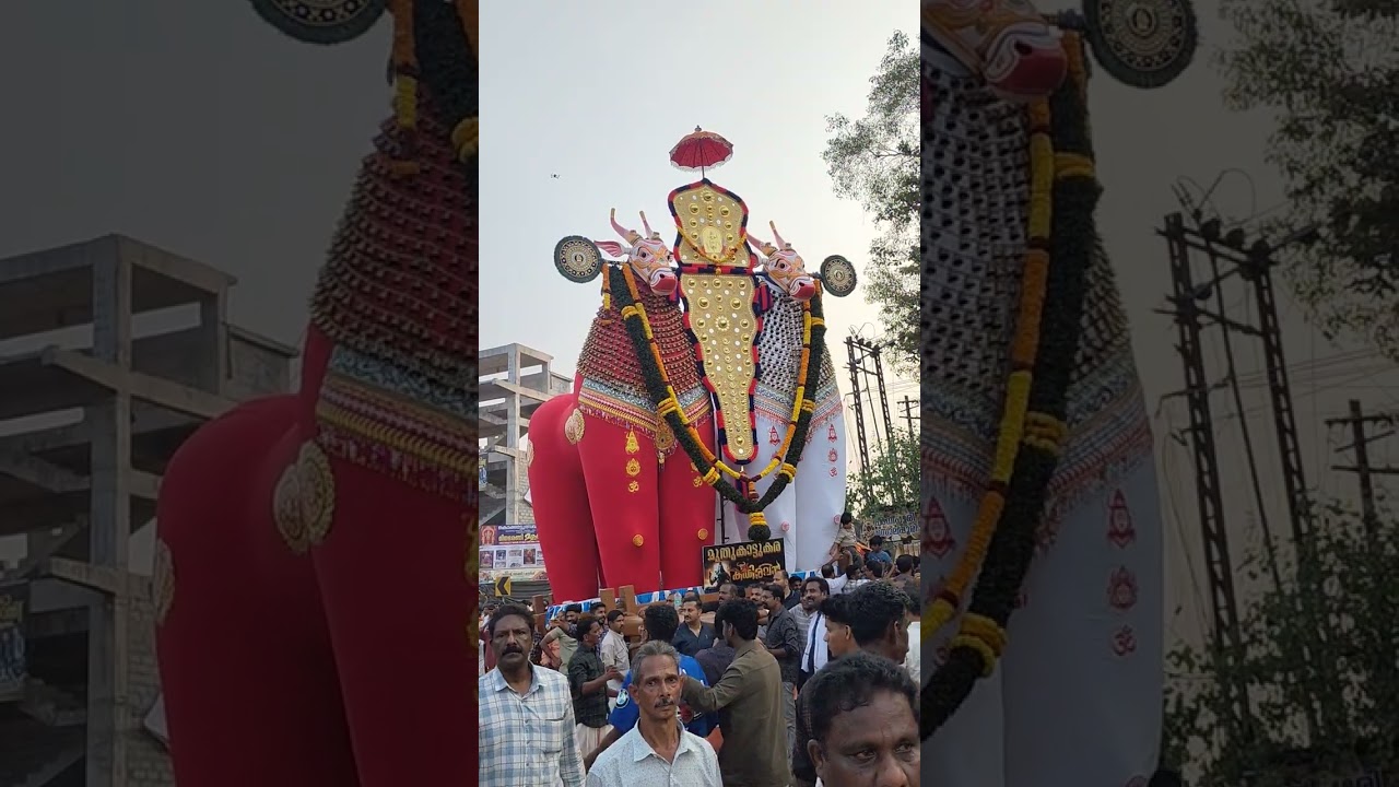 പടനിലം പരബ്രഹ്മ ക്ഷേത്രം ശിവരാത്രി മഹോത്സവം കെട്ടുകാഴ്ച്ച #youtube #uthsavam #kettukazhcha #viral 