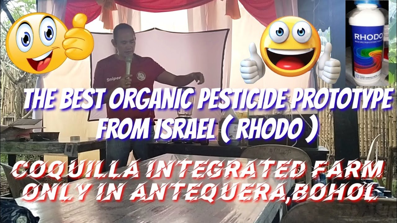 how to make rhodo prototype organic pesticide from israel #garden #gardening #diy #organic #farming