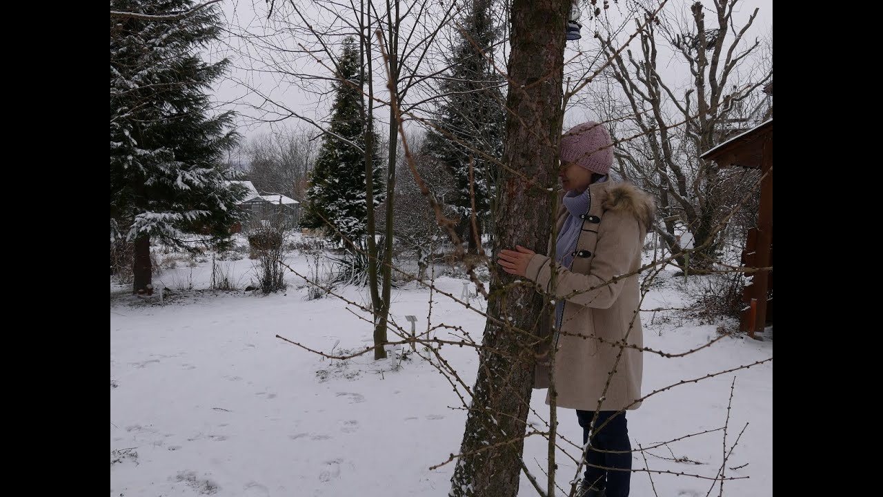 SPACER PO#OGRODZIE W I #NIEDZIELĘ W#LUTYM