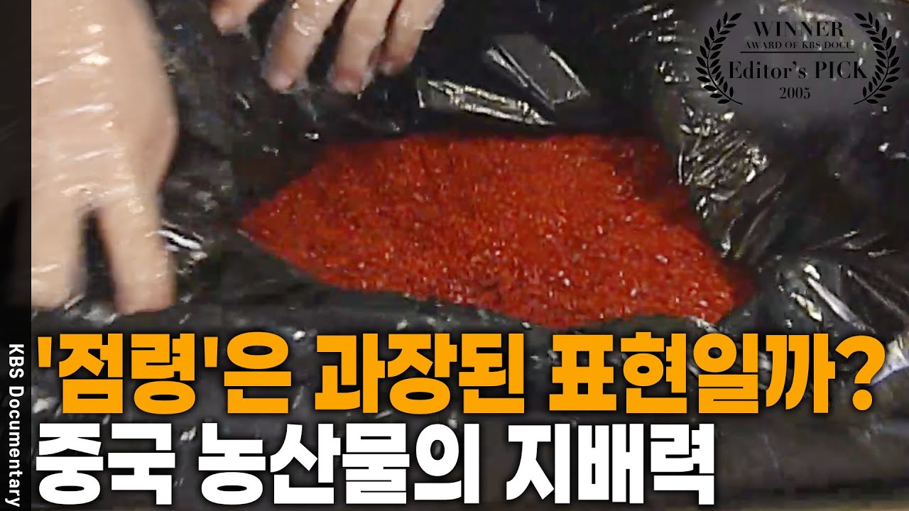 주요 양념 채소는 중국 의존도가 90% 이상?? 저질 중국농산물은 왜 한국으로 향하나? [Editor's PICK] | KBS 20051127 방송