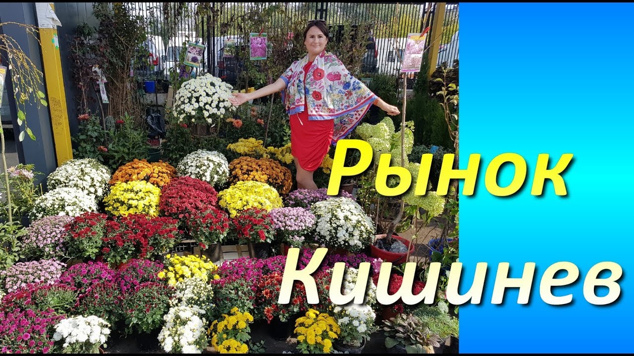 Кишинев рынок. Как выглядит современный рынок в Молдове