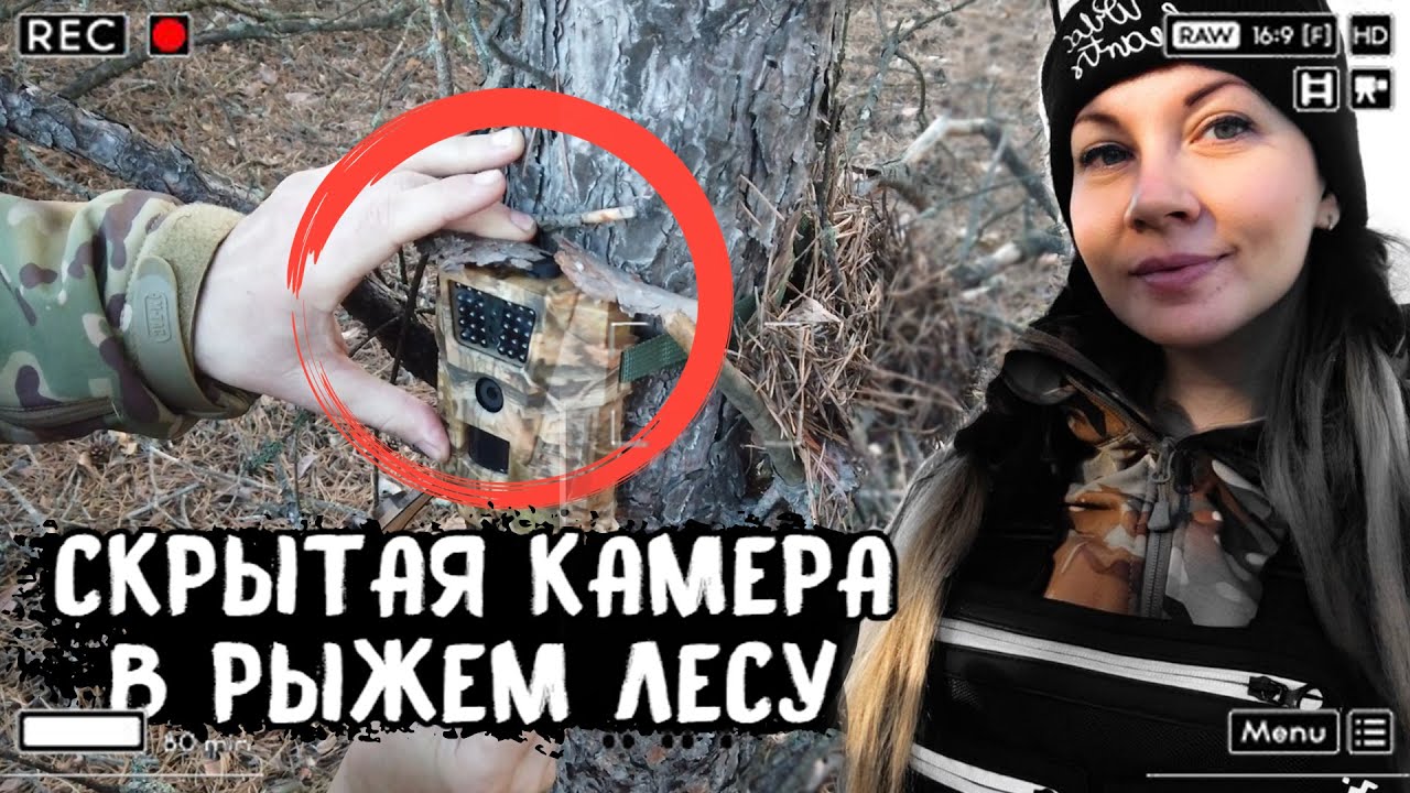Оставила фотоловушку в КРАСНОМ лесу Чернобыля - что она засняла и как сегодня выглядит Рыжий лес