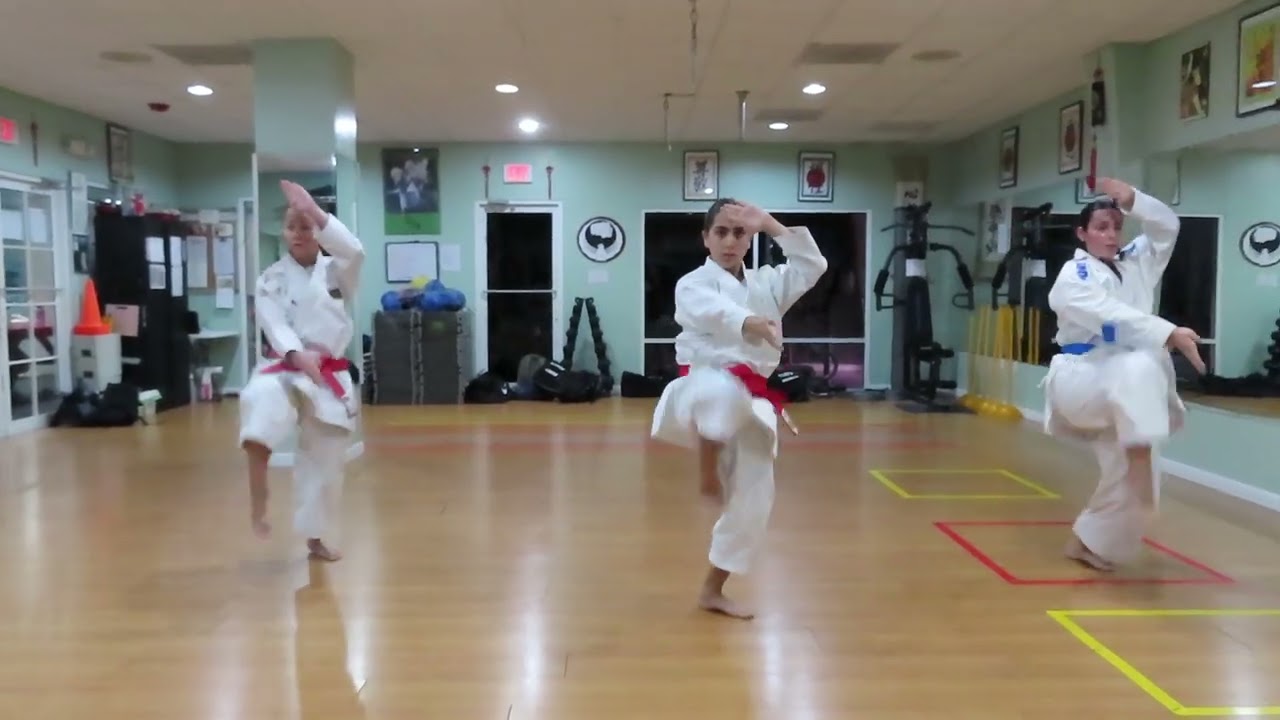 PINAN YODAN MASARU SHINTANI WADO KARATE-DO RYUHA (DOJO STYLE). FEMALE TEAM.