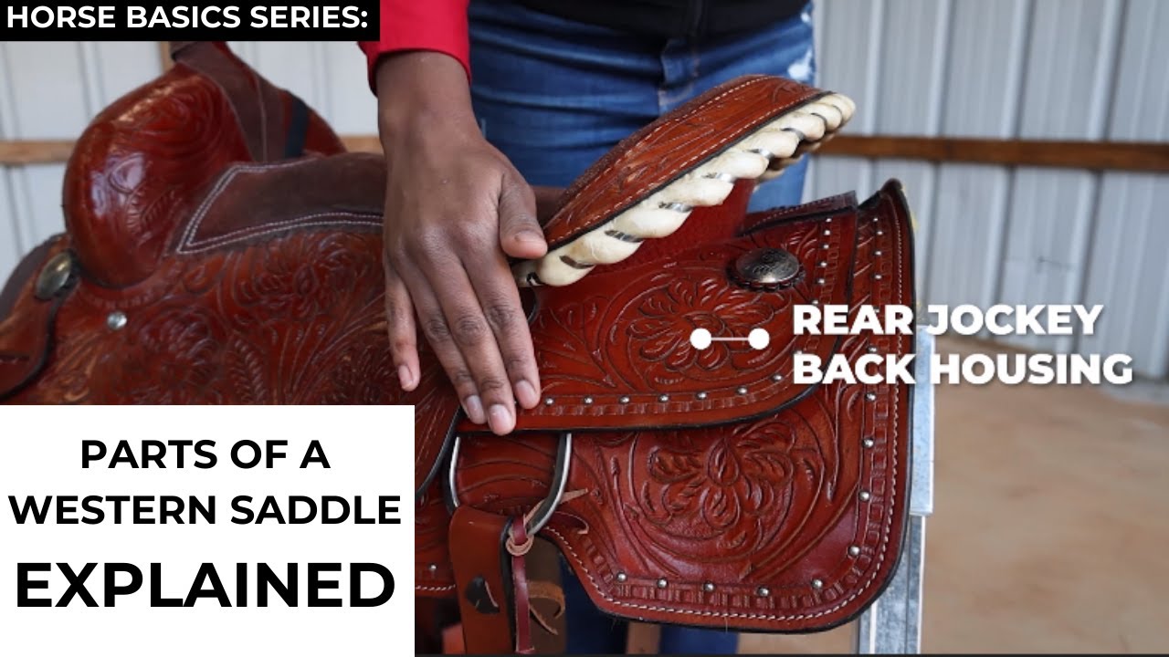 Parts of a Western Saddle EXPLAINED
