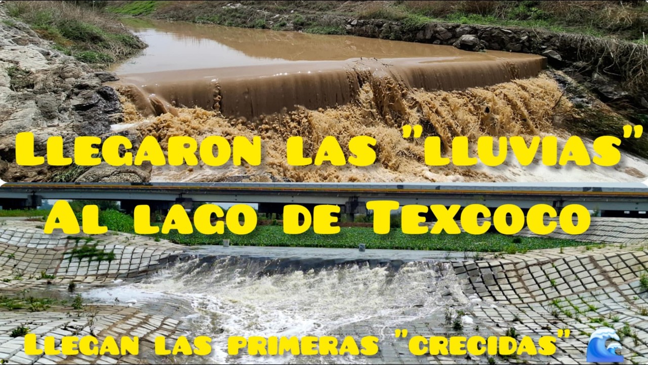 LAS 