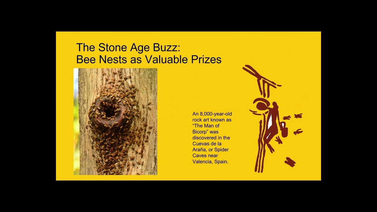 AIMA Lecture World Bee Day 2024
