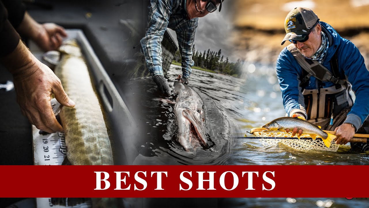 Up Your Fishing Photography | Action Photography Tips | Fishcamp Creative 2020