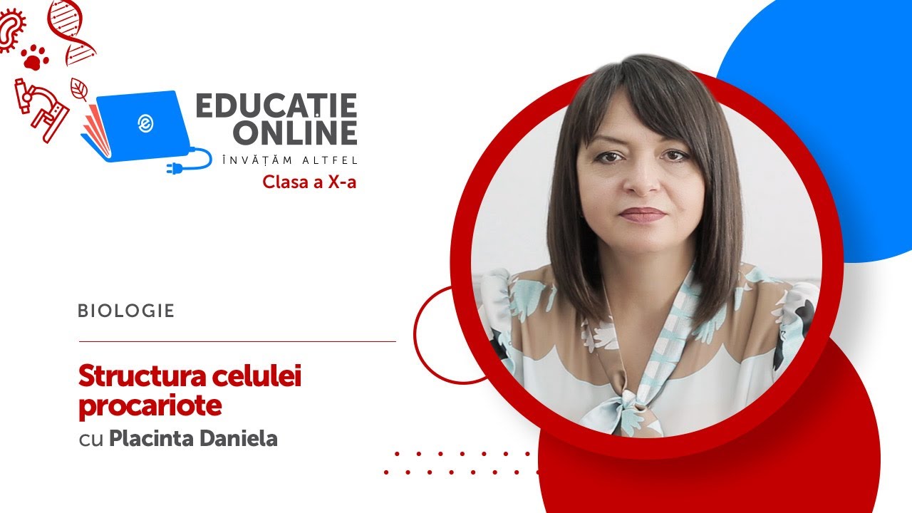 Biologie, Clasa a X-a, Structura celulei procariote