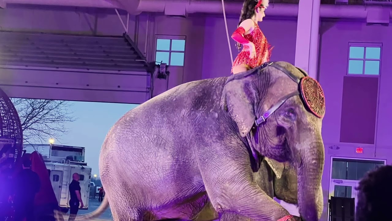 Carden Circus Show May 10, 2022