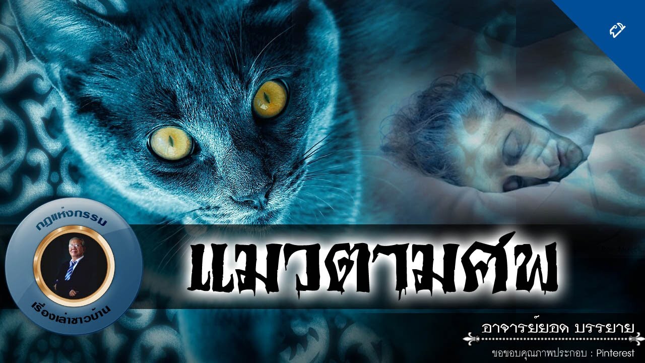 อาจารย์ยอด : แมวตามศพ [ผี]