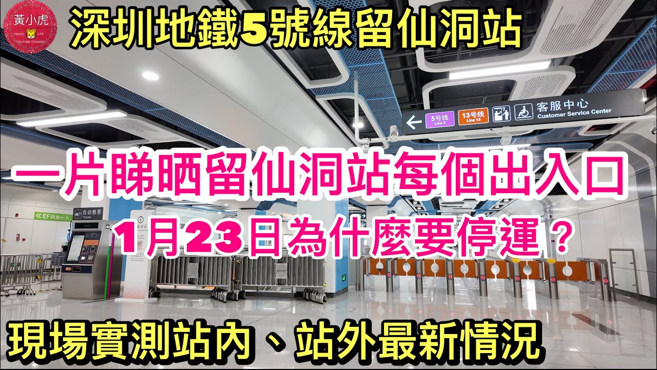 深圳好去處2026｜重磅消息！留仙洞站暫時停運｜現場實測站內、站外最新情況｜深圳地鐵5號線｜留仙大道￼｜黃師奶深圳日常