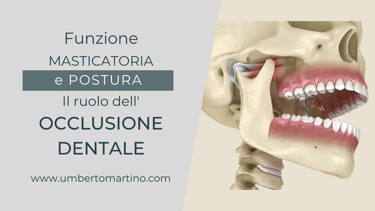 Funzione masticatoria e Postura: il ruolo dell'Occlusione Dentale