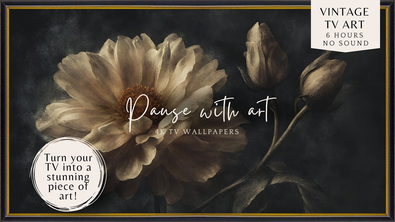 Vintage Frame TV Art Moody White Rose | Botanical Flower | TV Wallpaper 4K | 6 Hours
