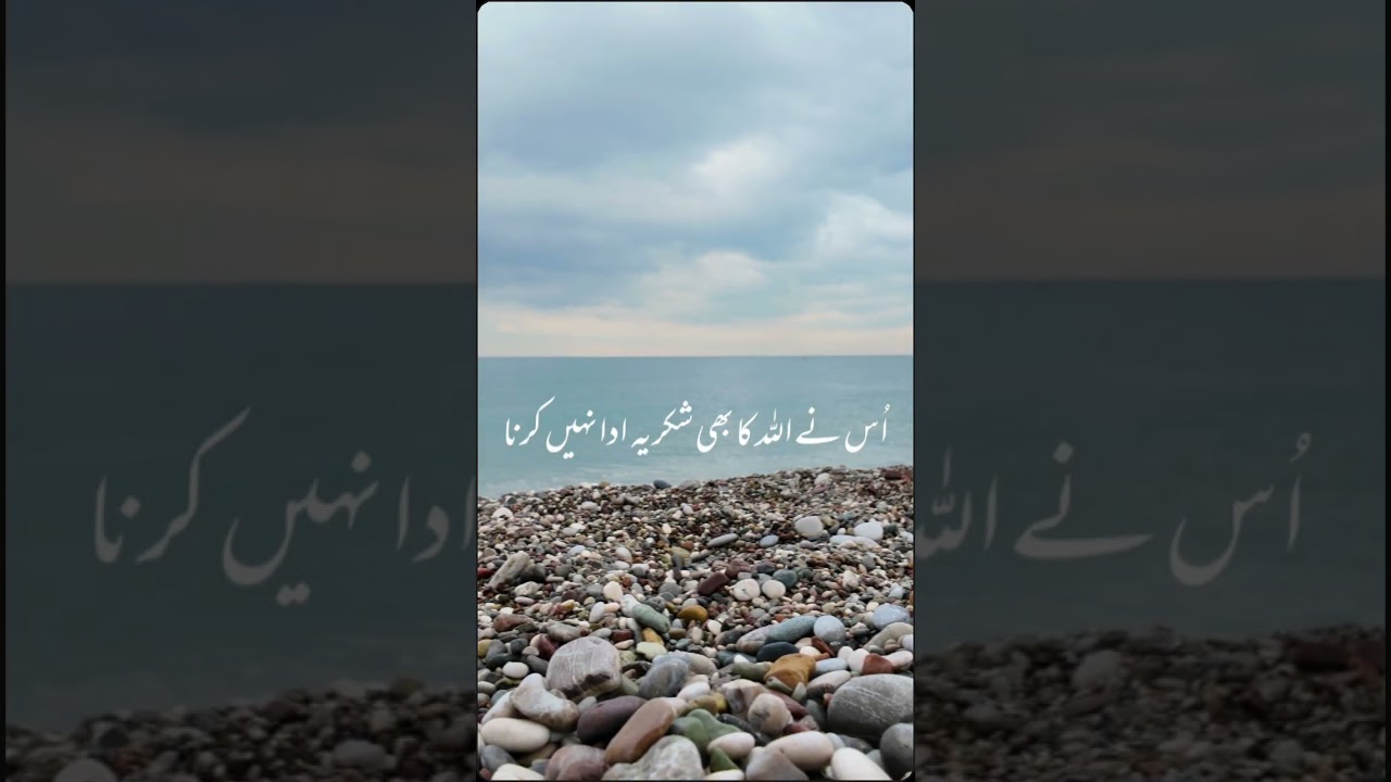 Jis Ne kisi K Saat Ahsaan Kiya 🤔 #daily #Islamic #video