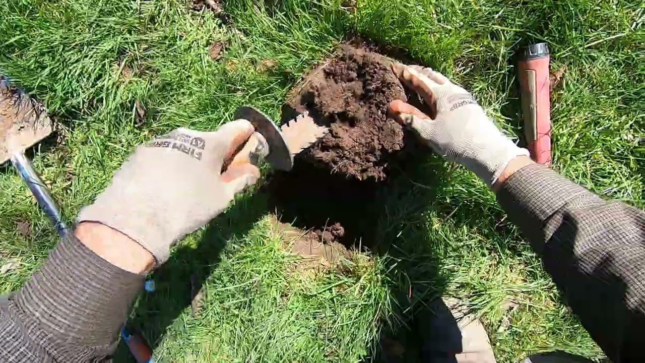 LIVE DIG RING!! XP Deus 2 at very trashy permission with lots of old coins.