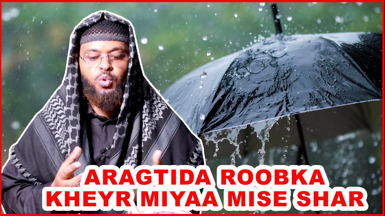 Aragtida Roobka Run Miyaa Arsaaq Waaye  Jawaabta Dhagayso 🤔