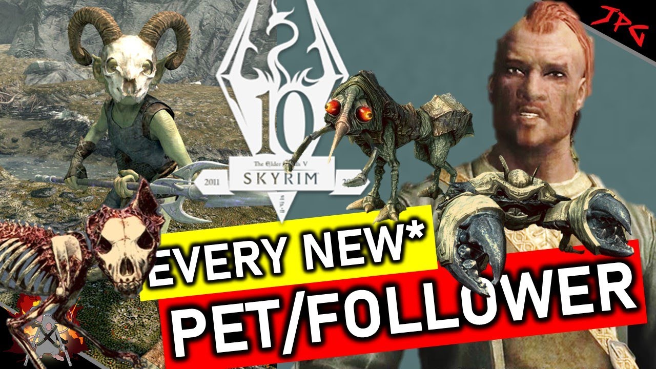 EVERY NEW* FOLLOWER AND PET IN SKYRIM - Anniversary Edition - Unique Creatures, Follower's And Pets!