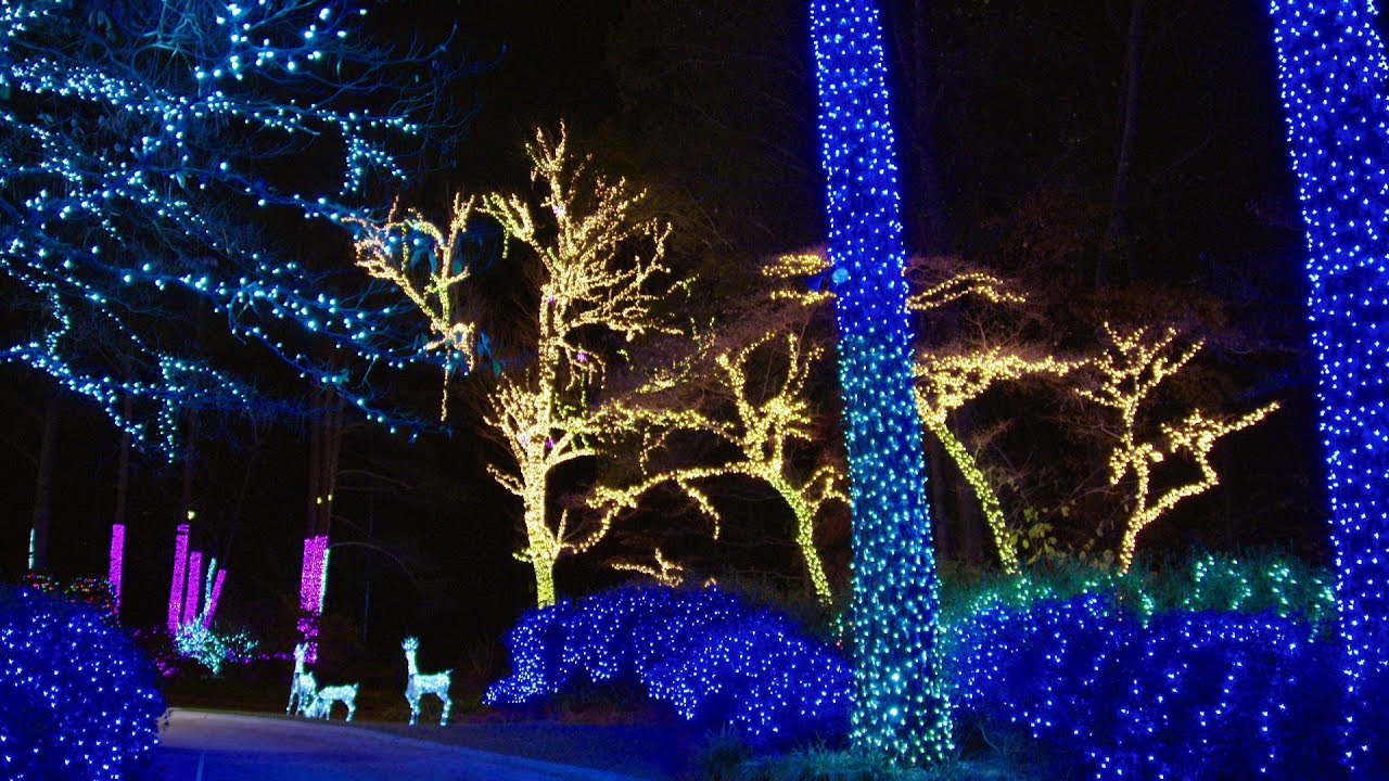 Taylor Family Covers 3 Acres In 'Lights of Joy' - The Great Christmas Light Fight