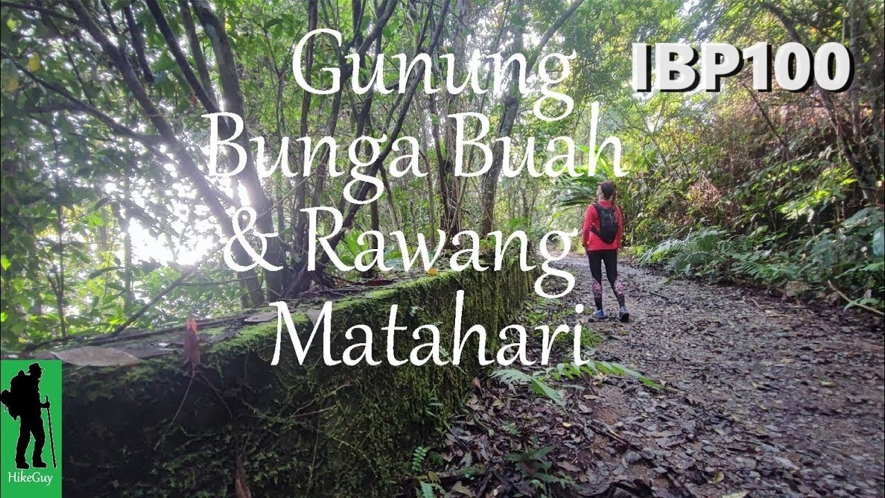 Gunung Bunga Buah & Gunung Rawang Matahari via Gohtong Jaya Trailhead | Selangor Malaysia | Ep64