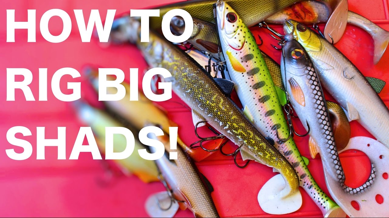 HOW TO Rig big soft plastic shads/ swimbaits - Pike fishing Lures