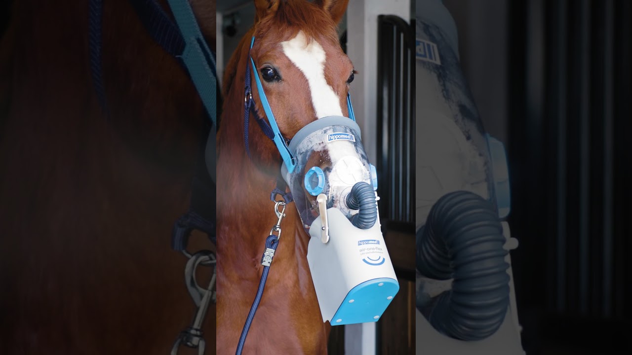 Akku-Ultraschall-Inhalator für Pferde - Hippomed AirOne Flex (#3211804)
