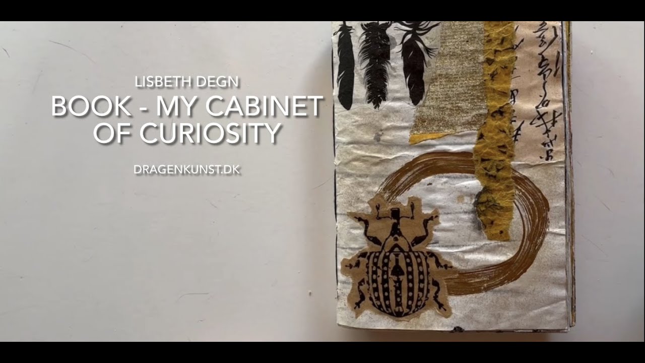 Book - My cabinet of curiosity