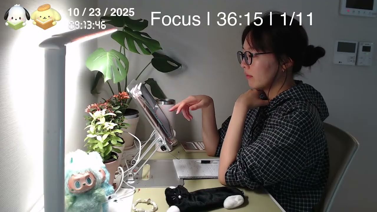 [25.10.23 목 ] 서울대생 Study with me |50/10 Pomodoro + 장작 asmr | CPA 회시생 | 시험기간 뿌셔!! 🔥
