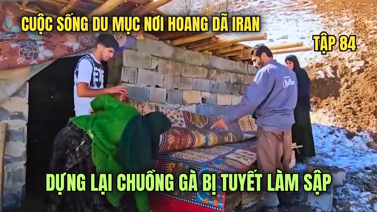 Amir- Tập 84- Cuộc Sống du mục Iran: Chuồng Gà Bị Sập, Xây Lại Từ Đầu Giữa Mùa Đông