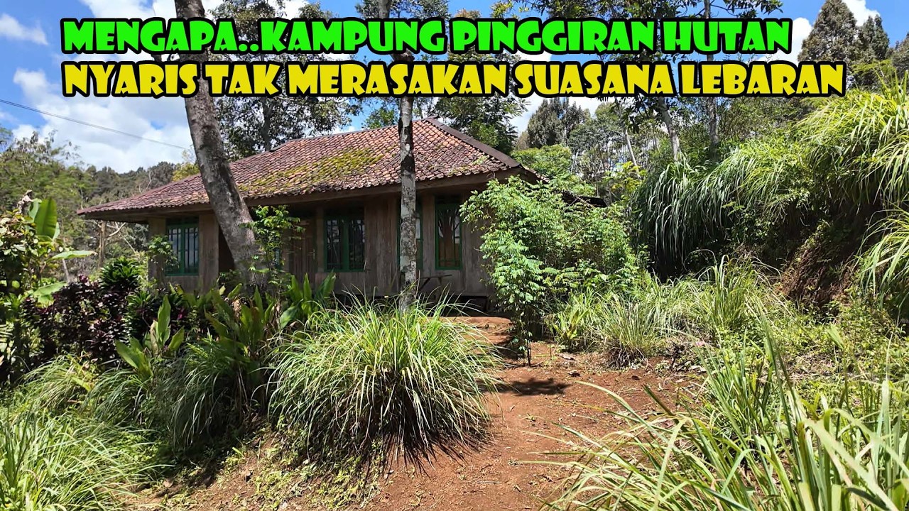 Akibat Sulitnya Ekonomi..Kampung Pinggiran Hutan Nyaris Tak Merasakan Suasana Lebaran.