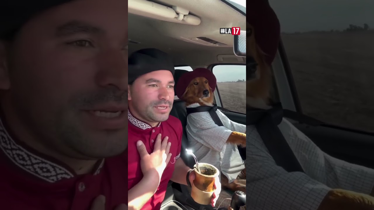 🐕 La historia de Preguntale, el perro más famoso del campo argentino.