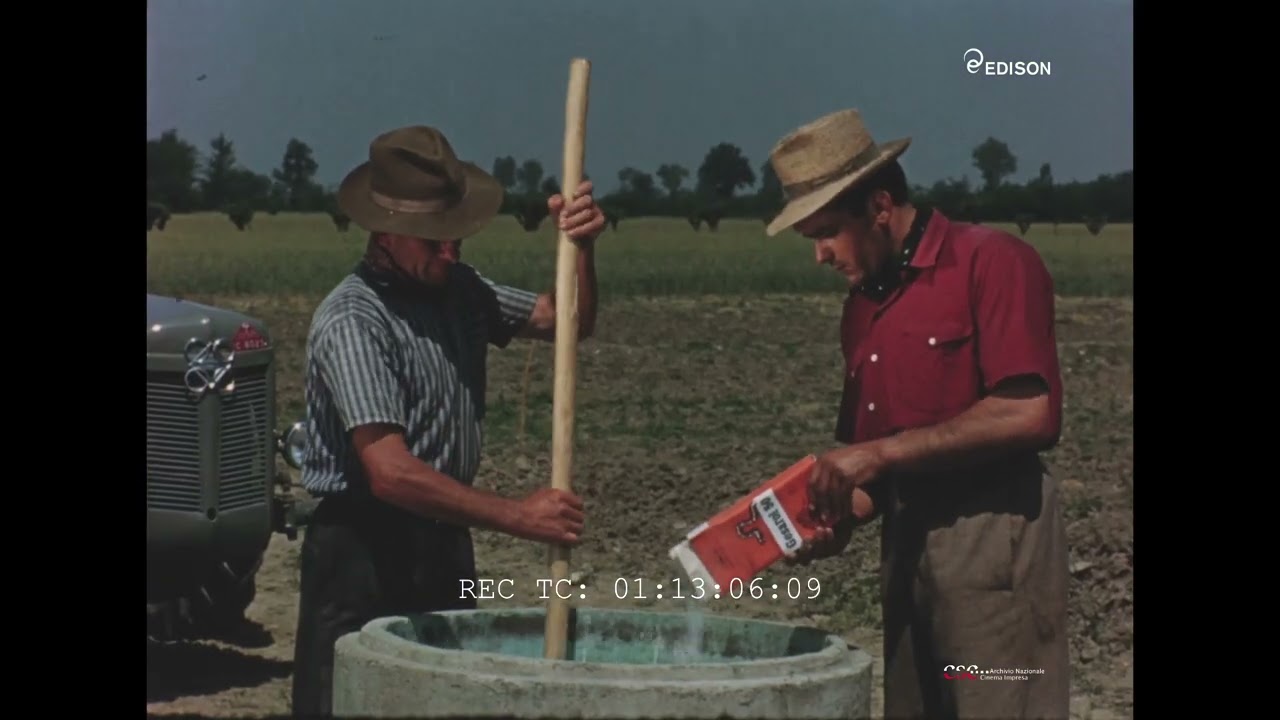 Il pomodoro (Armando Ambrogio, 1957)