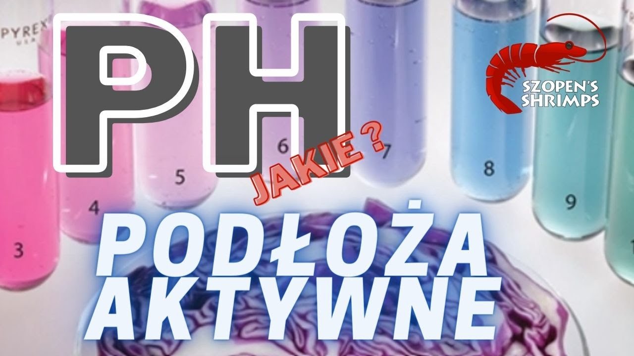 PH WODY W AKWARIUM NA PODŁOŻACH AKTYWNYCH - JAK TO WYGLĄDA ? Sprawdziłem to