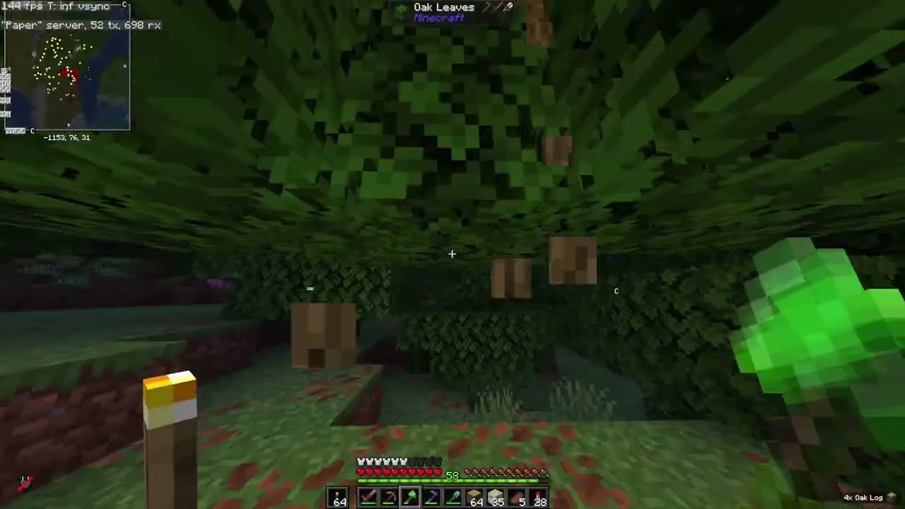 Minecraft Survival - Primeira Gameplay no Servidor 22/01/2026