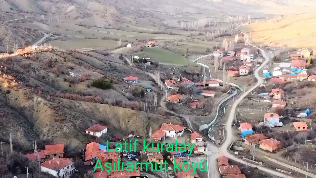 aşılıarmut