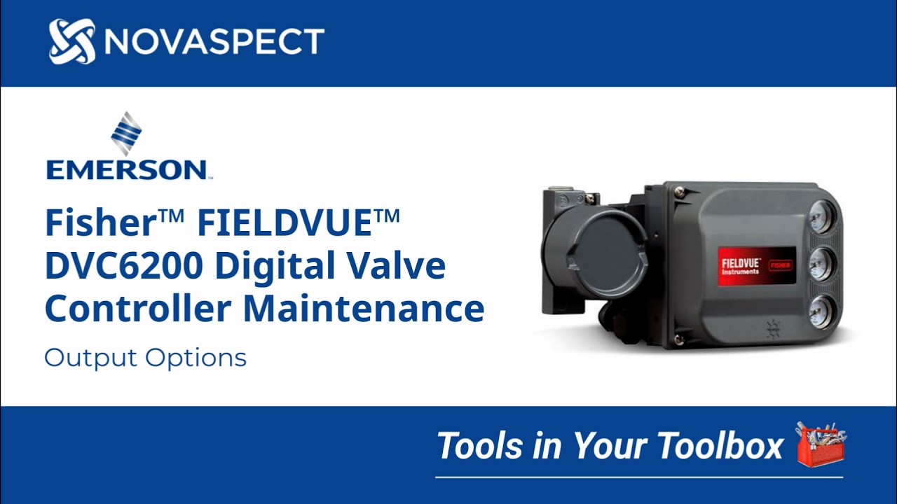Fisher™ FIELDVUE™ DVC6200 Digital Valve Controller -  Output Options