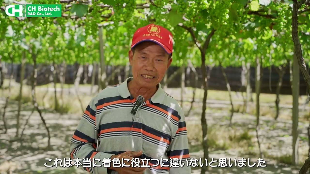 果樹応用: ブドウ 完全版動画