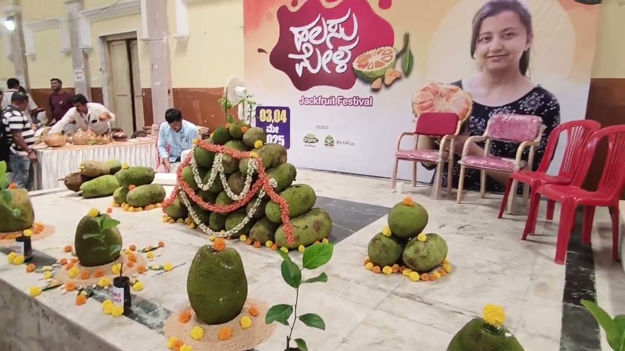 Jackfruits exhibition  May 3 2025. #jackfruit #mysore #mysuru #exhibition #india