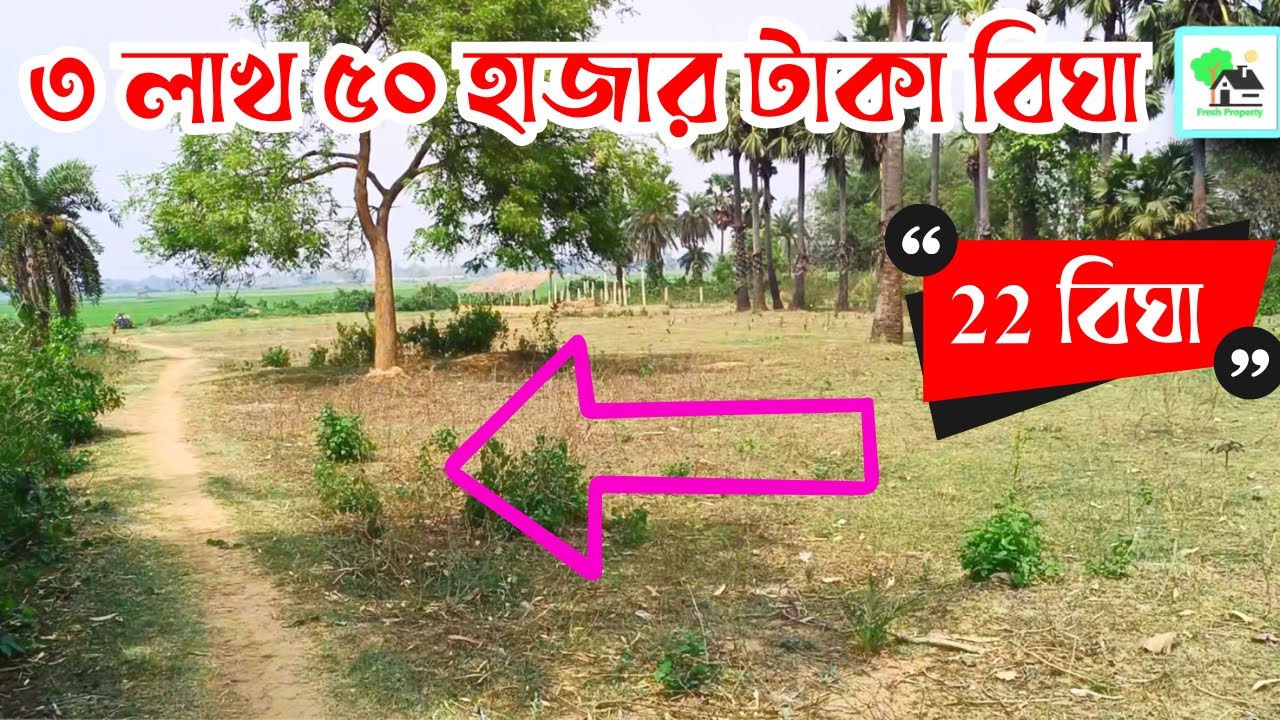 Fp - 834 | কম দামে দুর্দান্ত এগ্রিকালচার জমি | Fresh Property | Call - 9073 145 145
