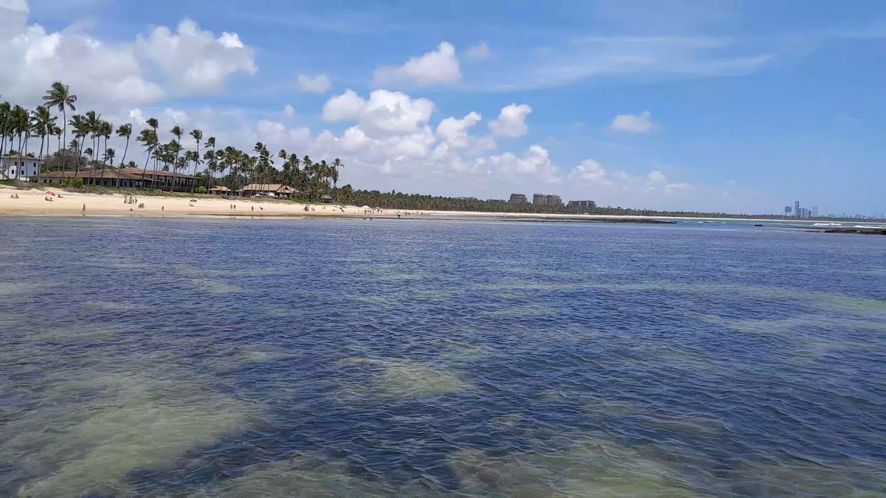 🎣Pescaria Raiz. Varinha de Bambu nas piscinas do Paiva. 🐠🐟🐡🐠🐟🎣Pesca de Praia.