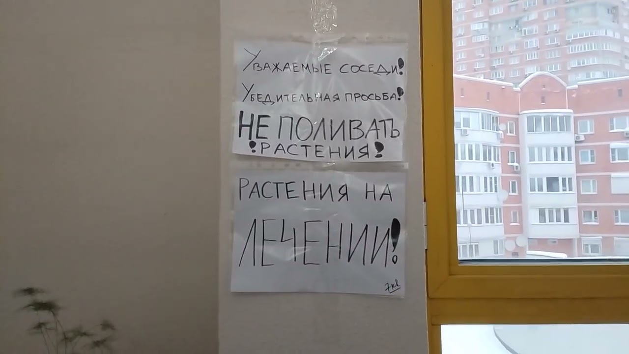 Пассажирский лифт ELM-(2020/2022 г) 450 кг, 1 м/с (@ г. Москва, Привольная, 23, под-1)