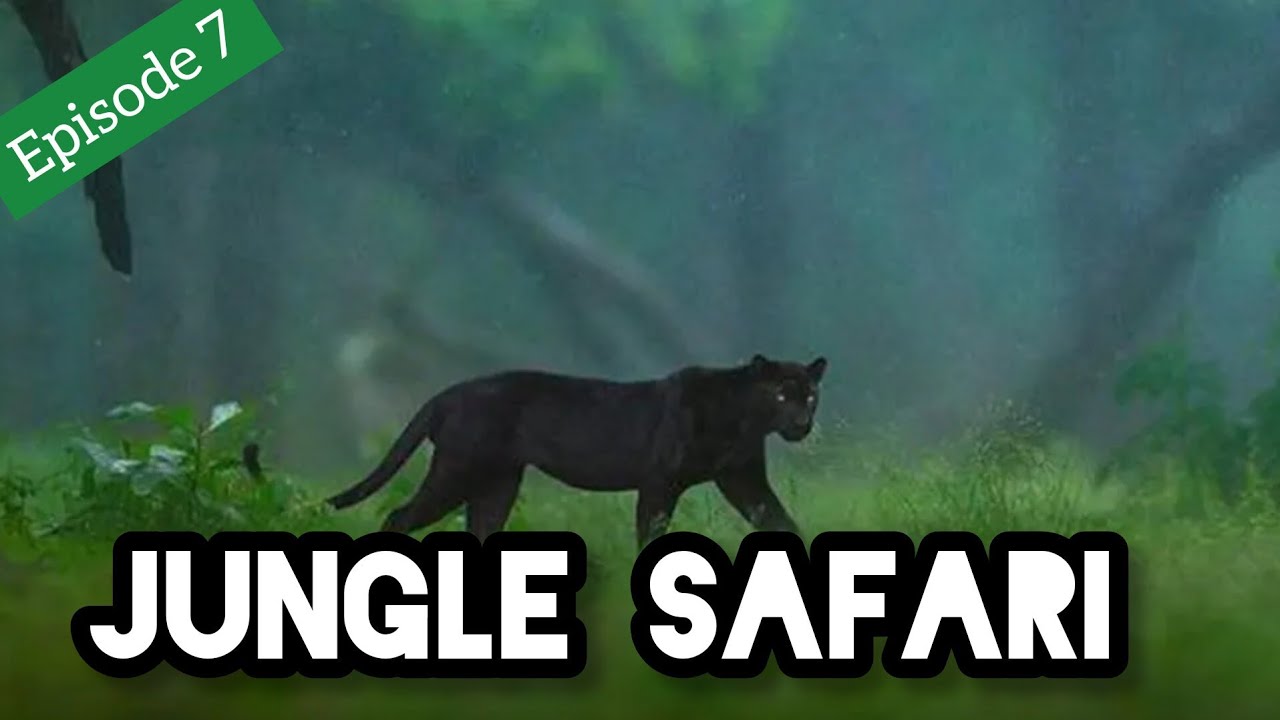 Black Panther | Tiger Attack | Jungle Safari | Dandeli | Kali Tiger Reserve | 