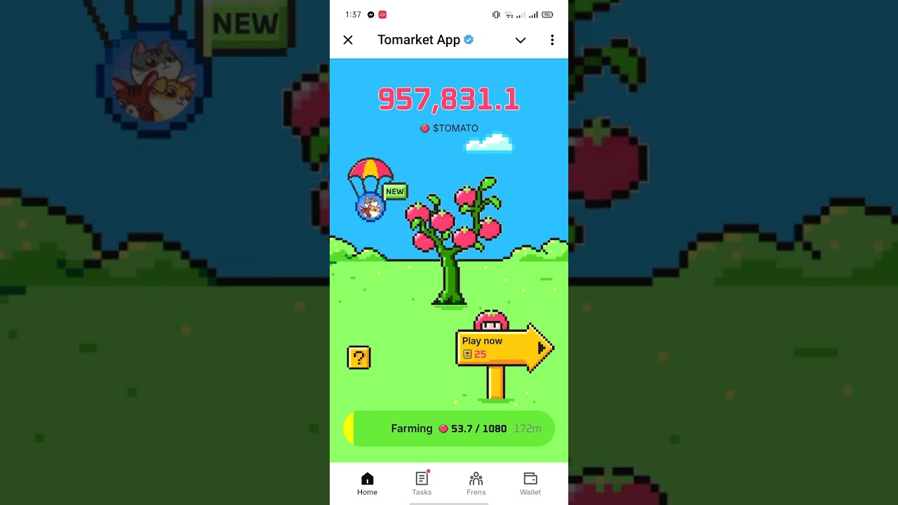 how to connect in tomarket.tomato wallet connect.