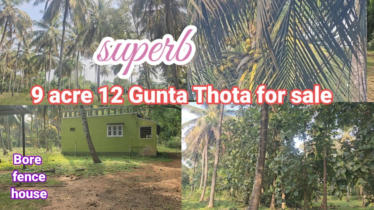  #soldout 9 acre 12 gunta Thota with house for sale  3 Bore full fence NH near mysore 43 km