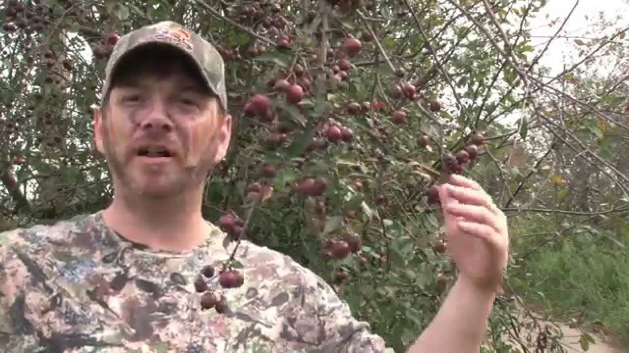 E52 The Future of Hunting, Season 2, The scents of hunting in Hungary