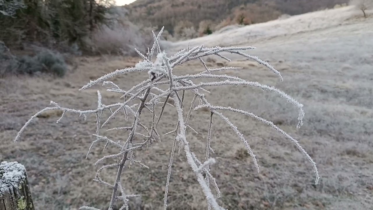 Una mattina di brina e gelo