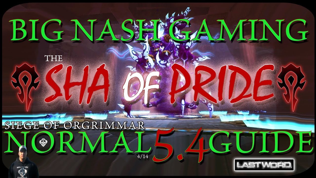 Sha of Pride Raid Guide