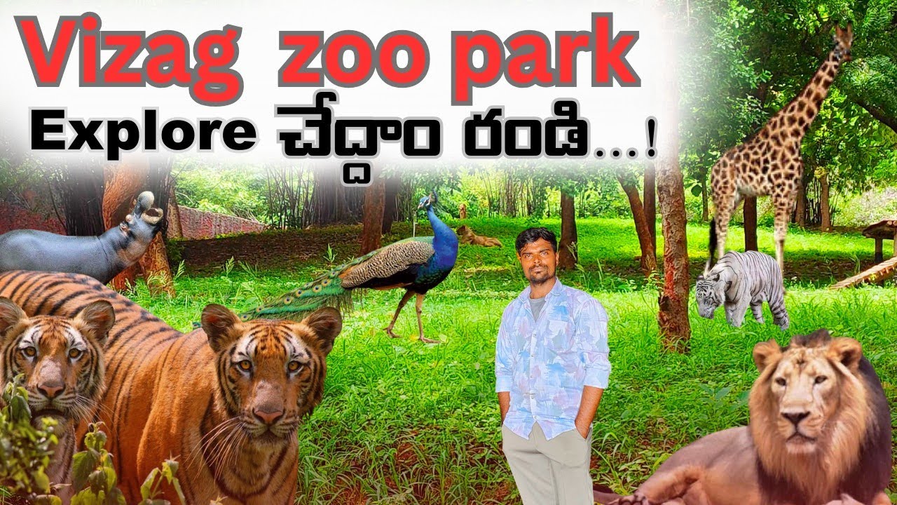 Vizag zoo 🏞️ Indira Gandhi zoological park zoo ticket price | in Telugu Kbro nature