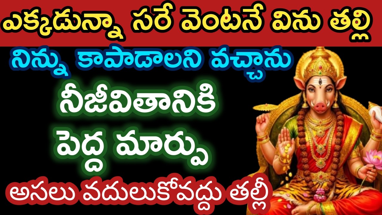 నీజీవితానికి పెద్ద మార్పు తెస్తాను ఎక్కడున్నాసరే విను తల్లి |varahidevi miracle @Pavithratalks