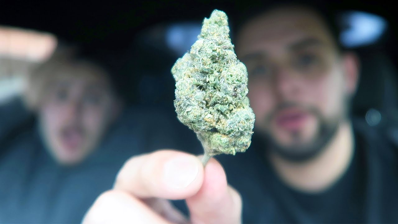 WHITE GUMMY REVIEW!!