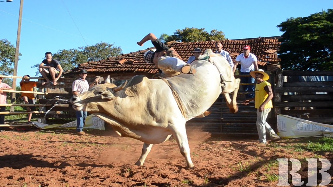 Treino de Rodeio em Prat&acirc;nia/sp